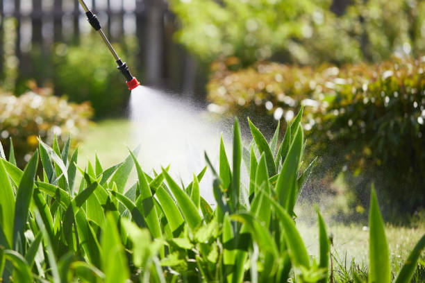 Tamper-Resistant Bait Stations for Rodents in Lockwood