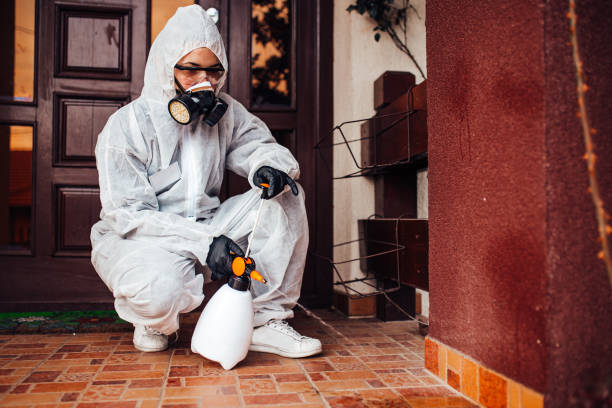 Attic and Crawl Space Rodent Treatment in Lockwood